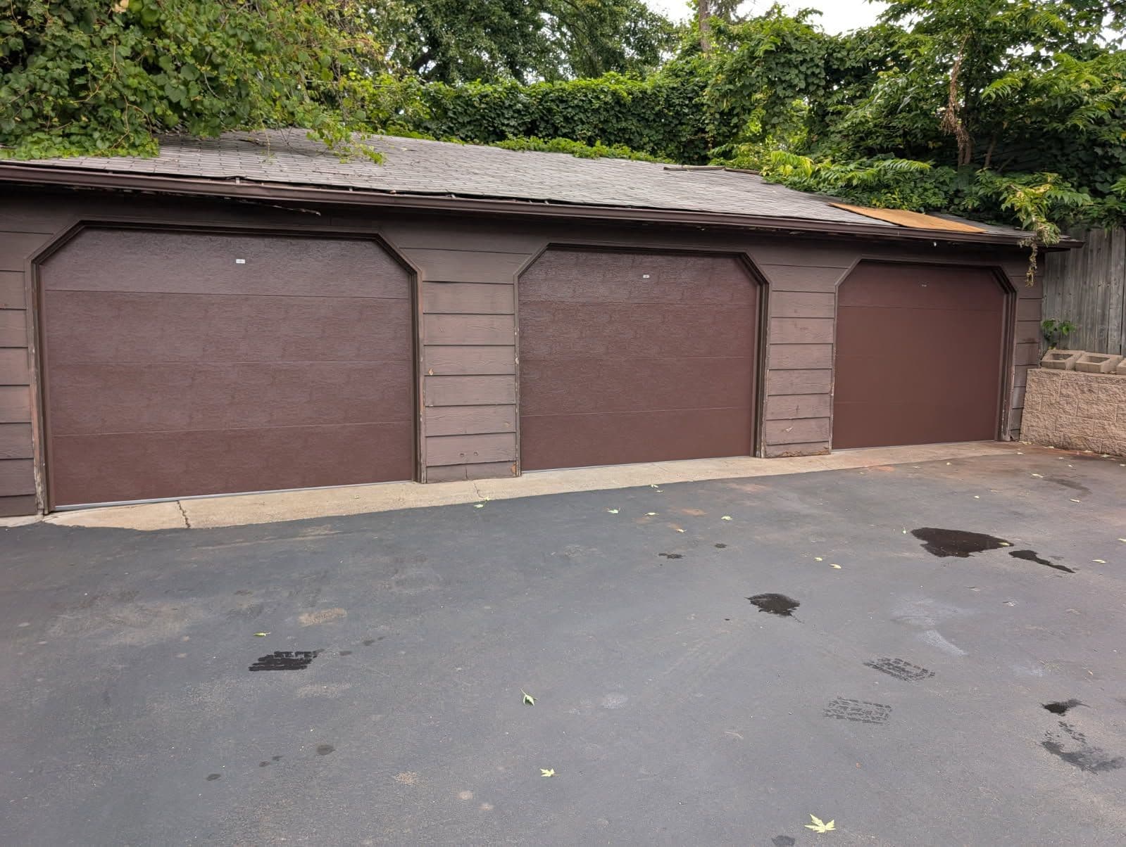 Stunning Garage Door Transformations in St. Paul image